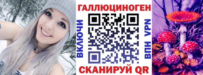 Псилоцибиновые грибы прущие грибы  где продают наркотики  Гатчина 